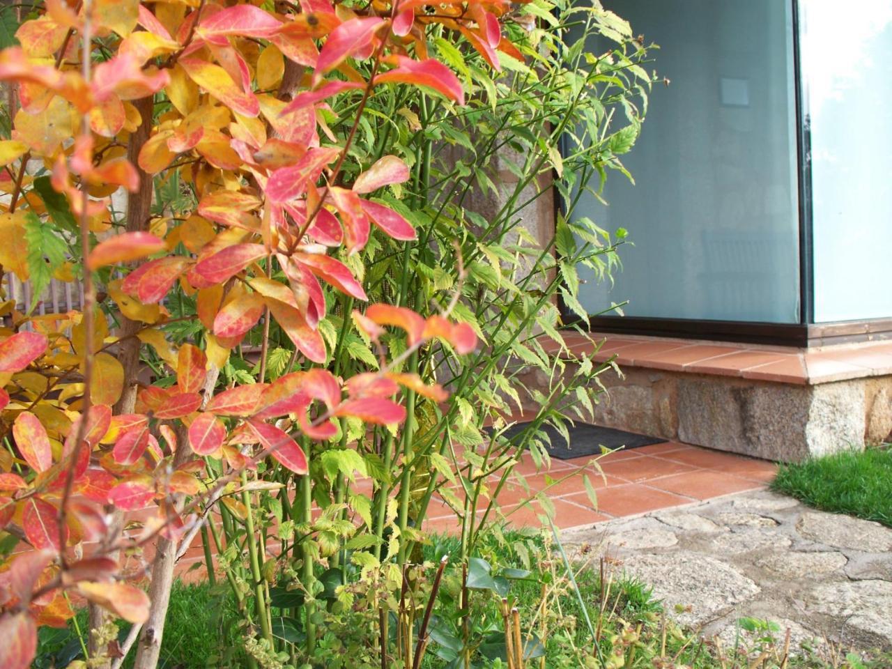 Apartamentos El Roble Valverde de la Vera Bagian luar foto